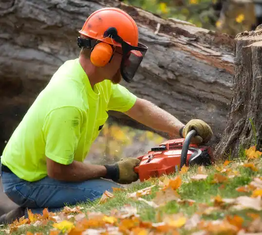 tree services Jonesboro